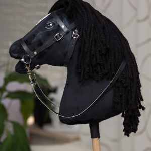 Hobby Horse Steckenpferd - Rappe Dancer 02