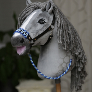 Stallhalfter Farbbeispiel 04